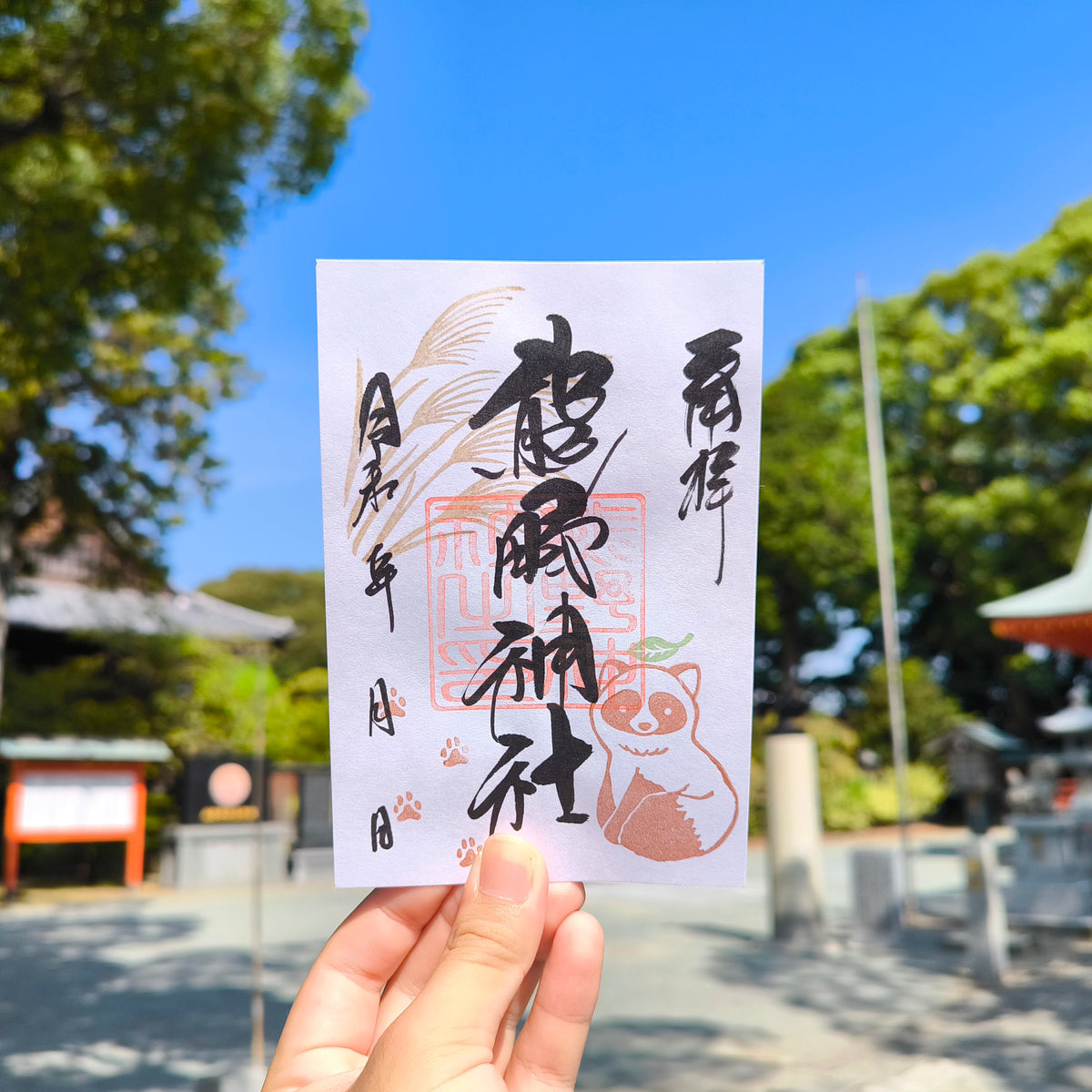 9月の御朱印「タヌキとススキ」