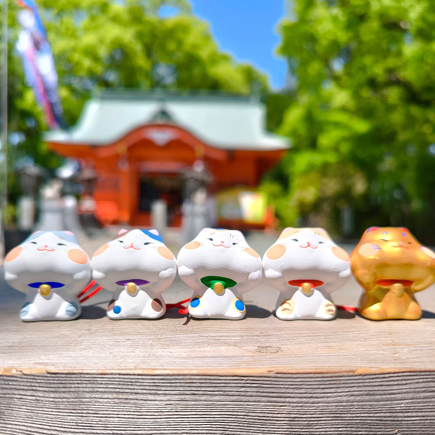 Chubby Lucky Cat Omikuji