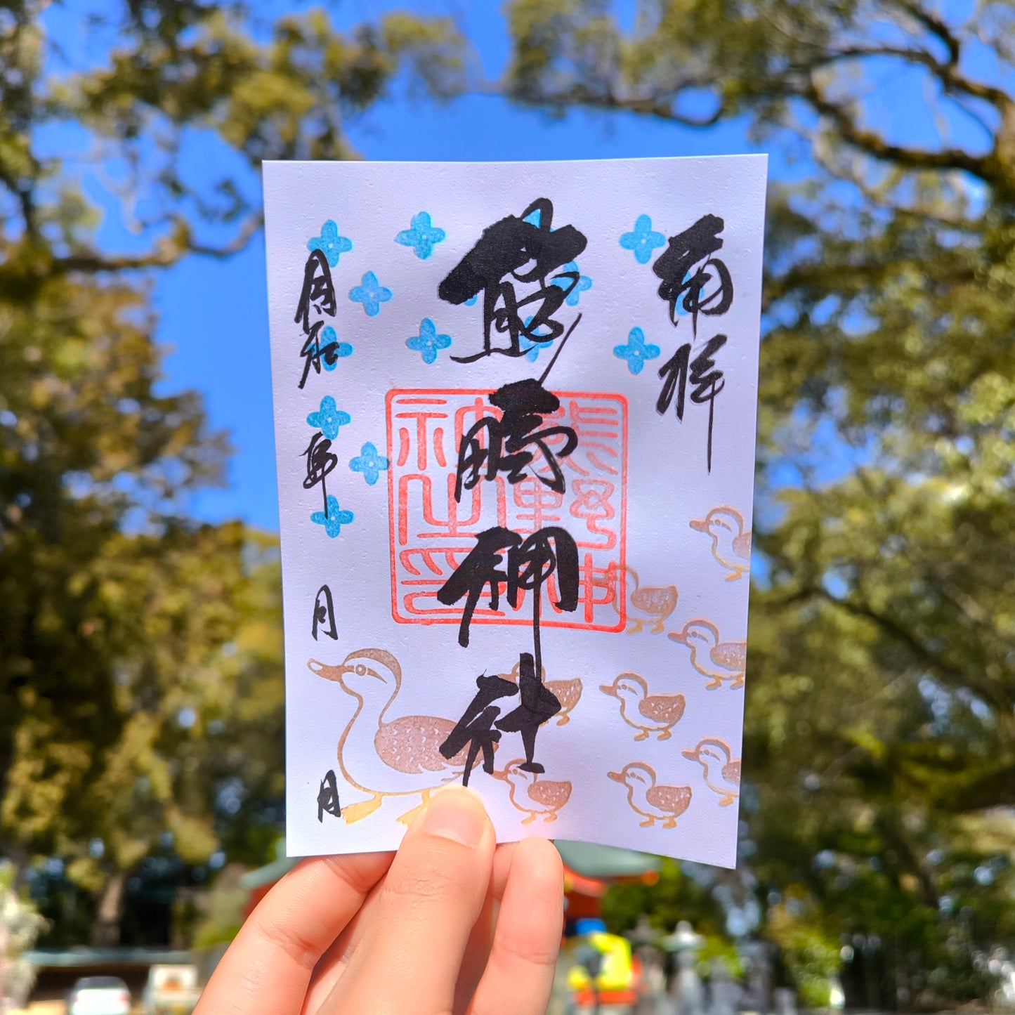 3月の御朱印「カルガモのおやこ」